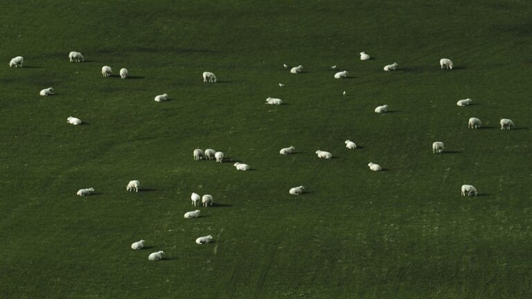Woontrends voor een stijlvol en gezellig huis