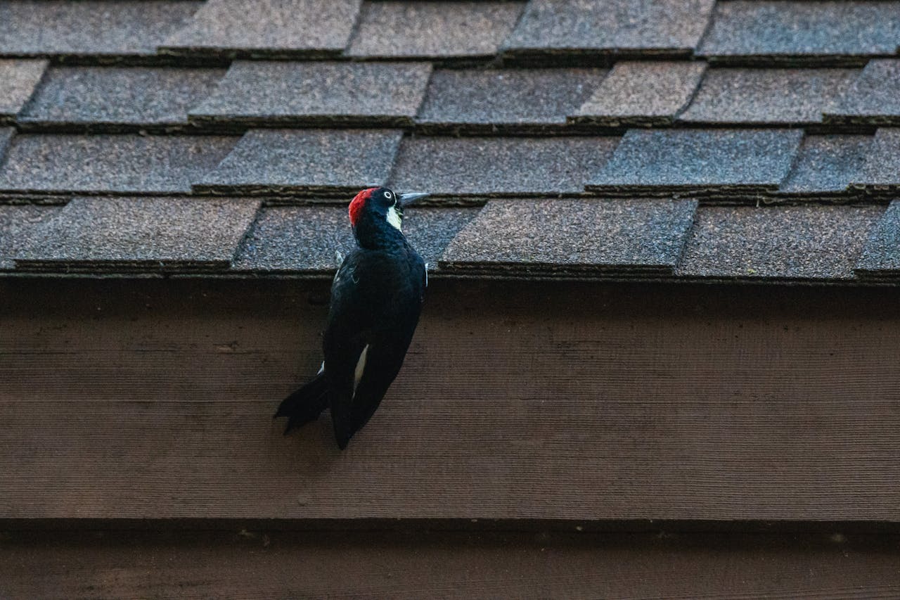 Ruim wonen in een maisonnette woning: wat je moet weten