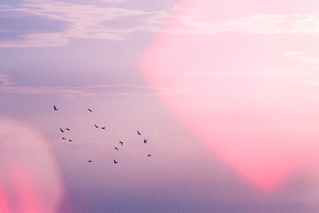 Van koks tot kapers: de veelzijdige wereld van Stanley Tucci in film en tv