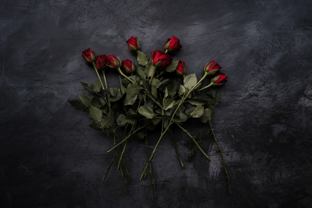 Lale Gül en haar geheime liefde: de gevolgen van een relatie in de schijnwerpers