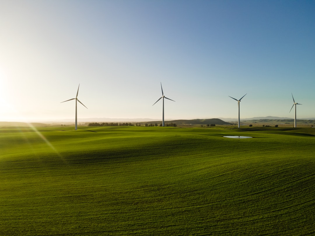 Duurzaam bouwen: zo bouw je een huis dat goed is voor jezelf en de planeet